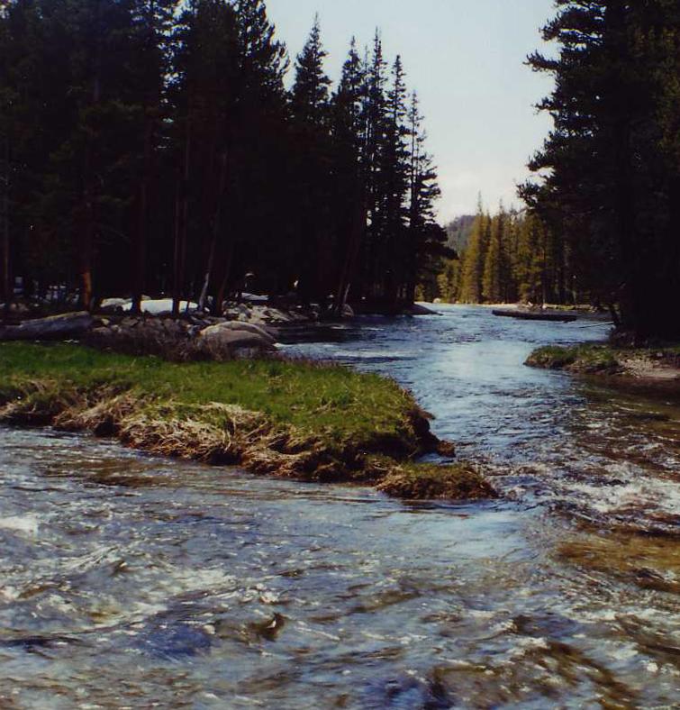 Yosemite5